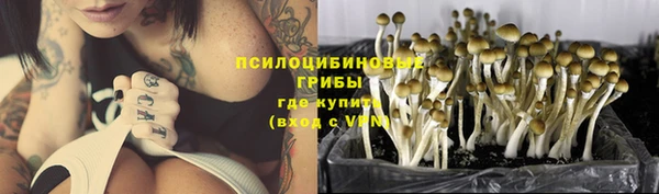 дмт Ростов