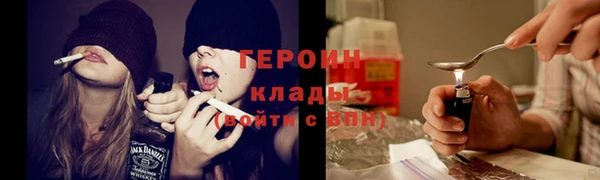 прущие грибы Абинск