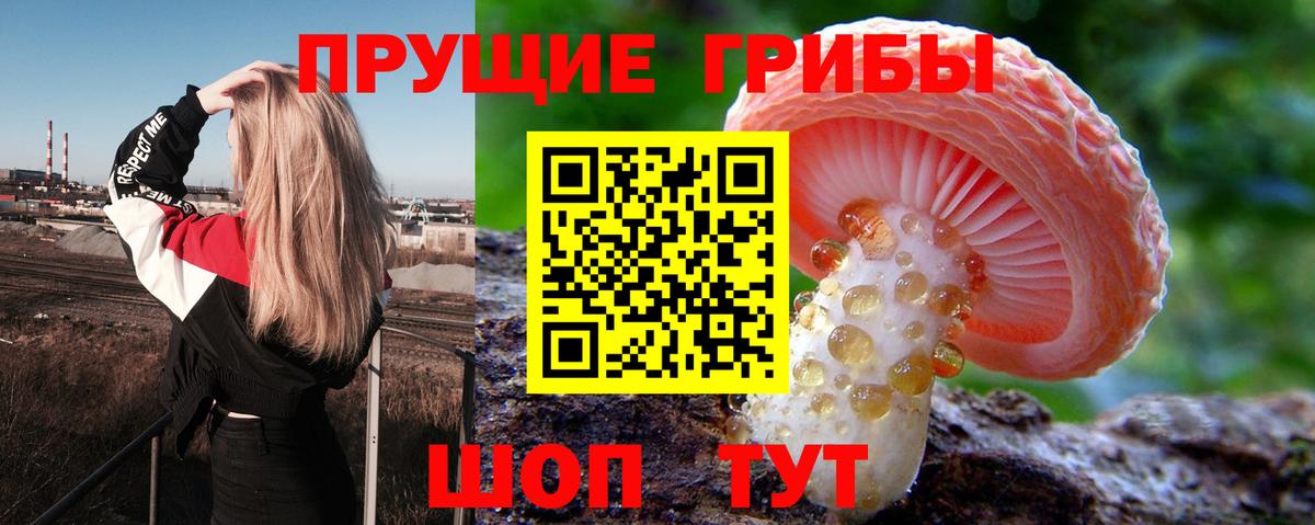 Моршанск  Галлюциногенные грибы Psilocybine cubensis  Вход с VPN 